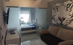 Apartament Tygrys